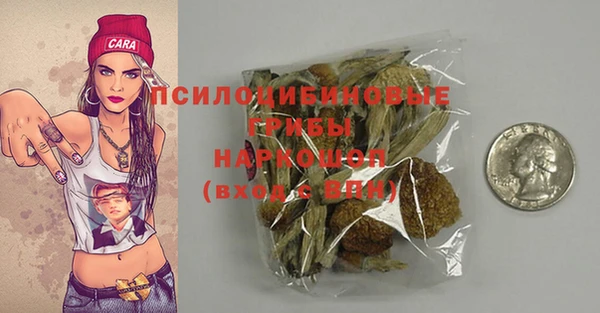 гидра Бронницы