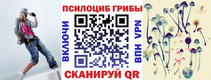Псилоцибиновые грибы Psilocybine cubensis Новое Девяткино